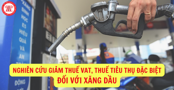 Nghiên cứu giảm thuế VAT - Thuế tiêu thụ đặc biệt với xăng dầu